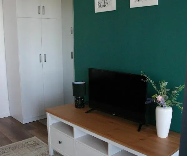 Apartament Zielony * コニン